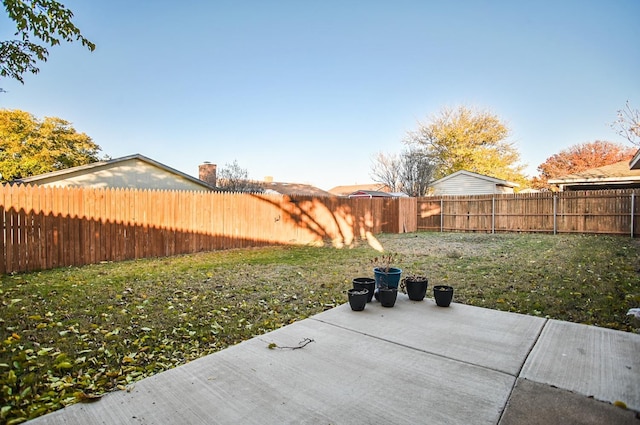 view of yard featuring a patio