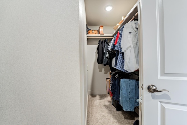 walk in closet with carpet floors