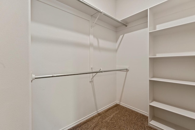 walk in closet with carpet flooring