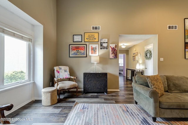 8609 Kenosha Dr, Lubbock, TX 79423 - living room with wood finished floors, baseboards, and a towering ceiling