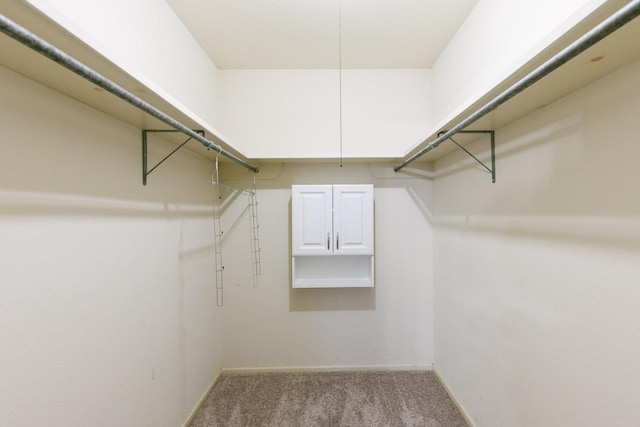 spacious closet with light colored carpet