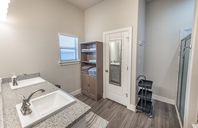 bathroom featuring vanity, wood-type flooring, and a shower with door