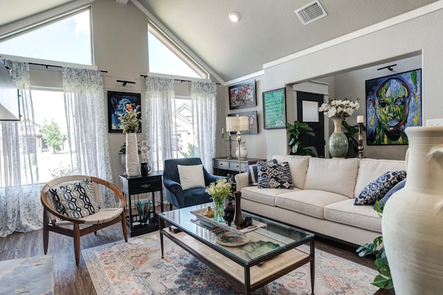 living room with lofted ceiling, wood-type flooring, and a textured ceiling