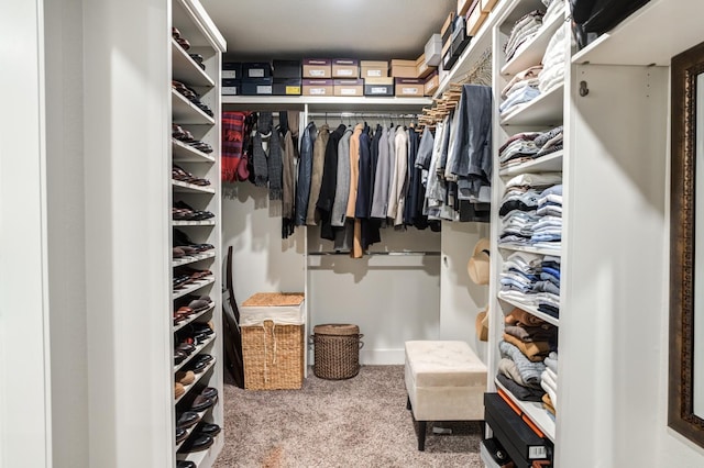 spacious closet featuring carpet