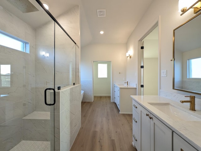 bathroom featuring vanity, plenty of natural light, a shower with door, and wood-type flooring