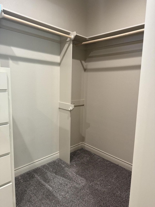 5414 112th St, Lubbock, TX 79424 - walk in closet featuring carpet floors
