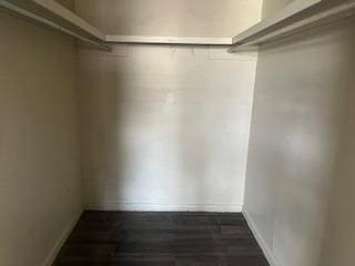 walk in closet with dark hardwood / wood-style floors