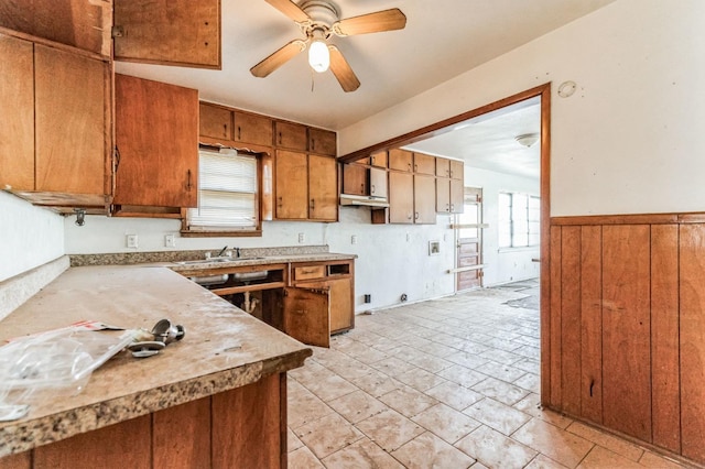 kitchen with sink and ceiling fan