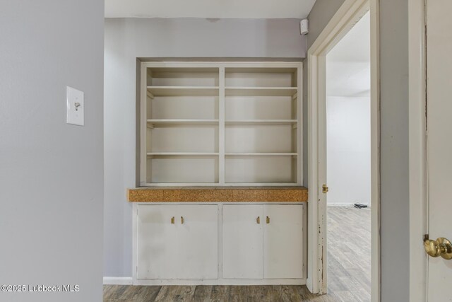 3413 42nd St, Lubbock, TX 79413 - view of closet