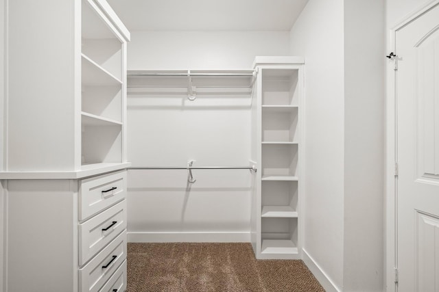 spacious closet with dark colored carpet