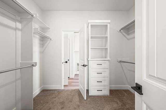 spacious closet featuring carpet flooring