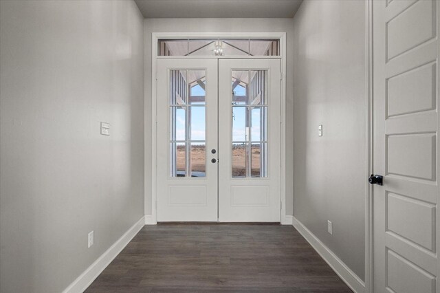 doorway featuring dark wood-type flooring and french doors