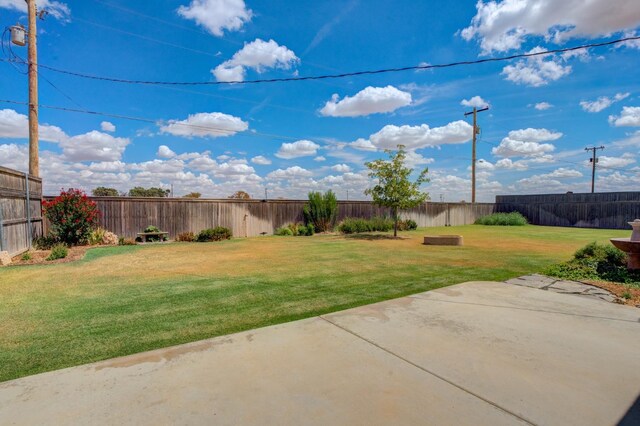 view of yard featuring a patio area