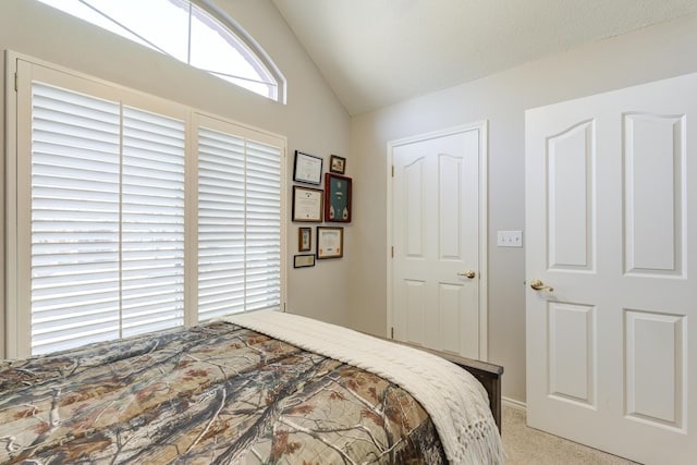 6910 Freeport Ave, Lubbock, TX 79424 - bedroom featuring carpet, vaulted ceiling, and baseboards