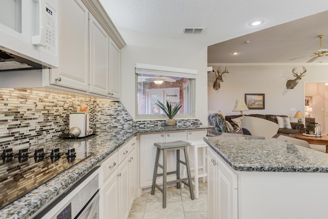 6910 Freeport Ave, Lubbock, TX 79424 - kitchen featuring white microwave, ceiling fan, open floor plan, tasteful backsplash, and stone counters