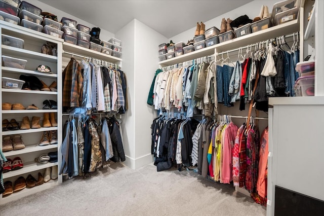 walk in closet featuring carpet floors