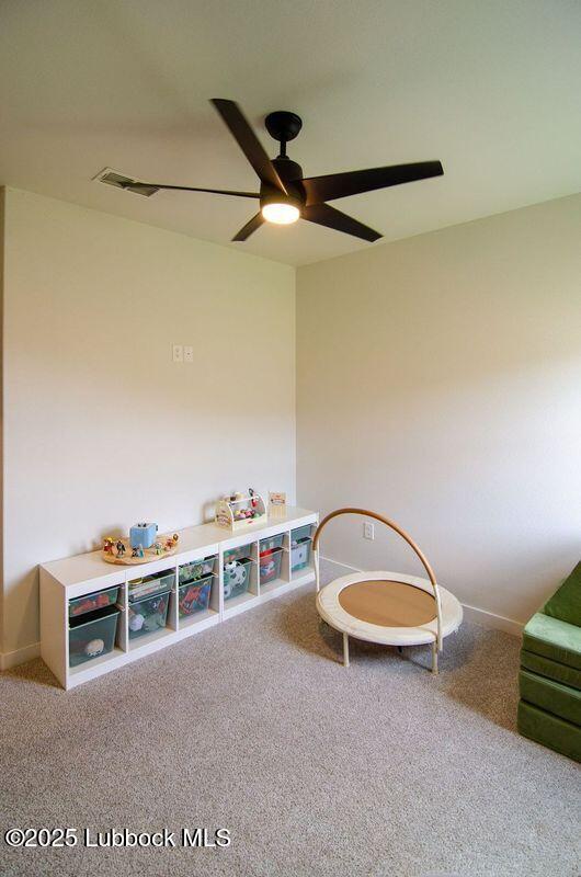8910 Winfield Ave, Lubbock, TX 79424 - photo 27