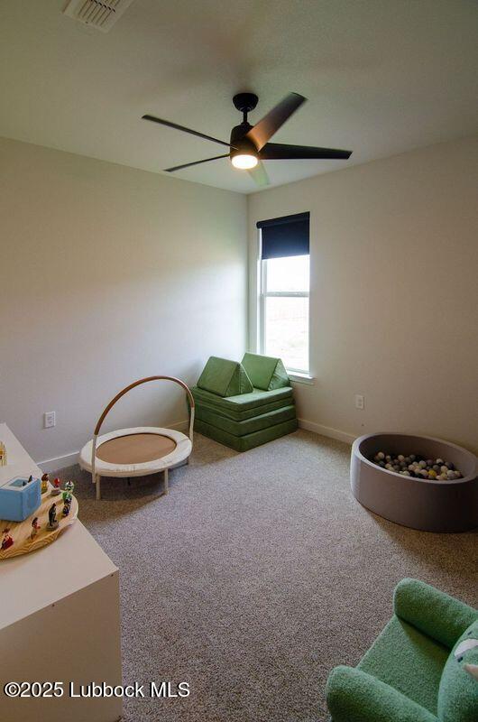 8910 Winfield Ave, Lubbock, TX 79424 - photo 26