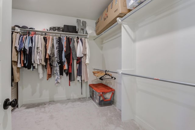 spacious closet with light carpet