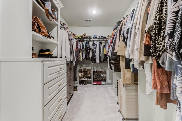 view of spacious closet