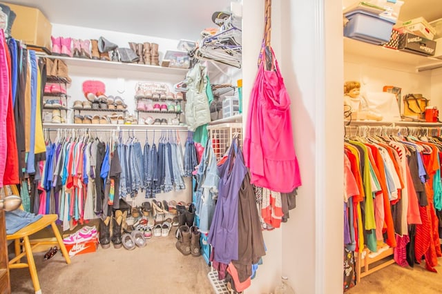 spacious closet with carpet