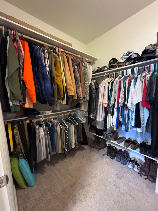 spacious closet featuring carpet floors