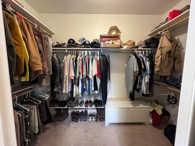 walk in closet featuring carpet floors