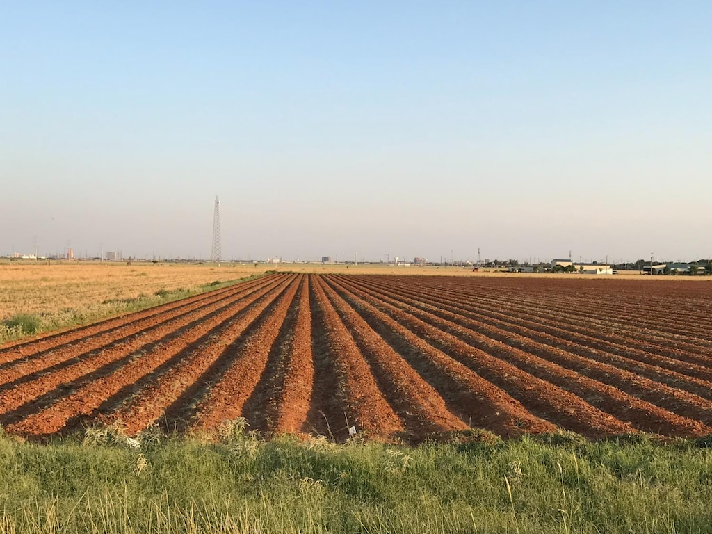 0 Fm 2641, Lubbock, TX 79415 - photo 1