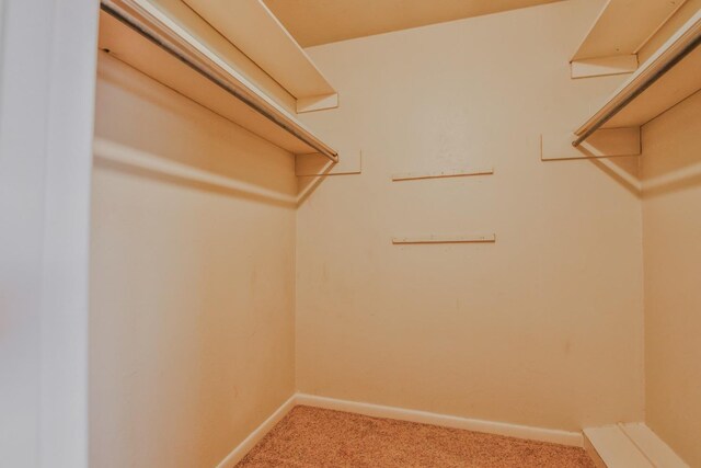 spacious closet featuring carpet floors