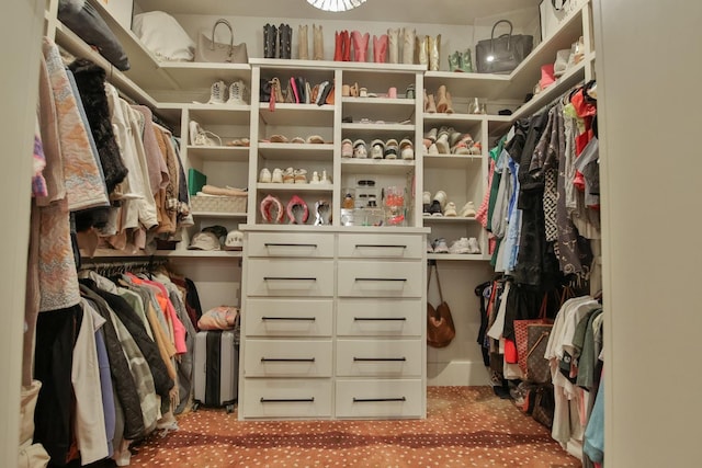 spacious closet with light colored carpet