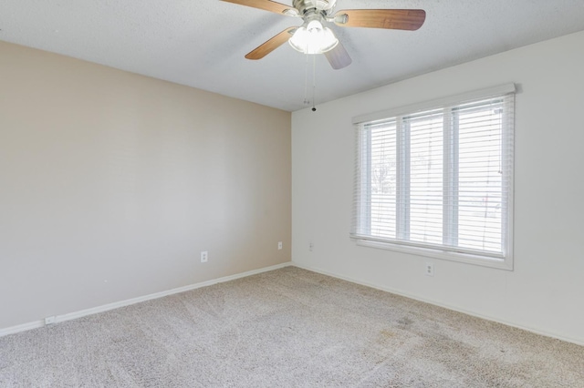 4437 76th St, Lubbock, TX 79424 - photo 38