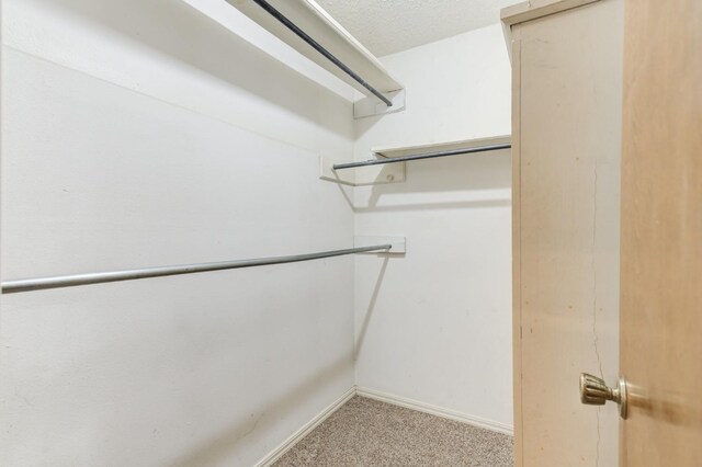 4437 76th St, Lubbock, TX 79424 - photo 35
