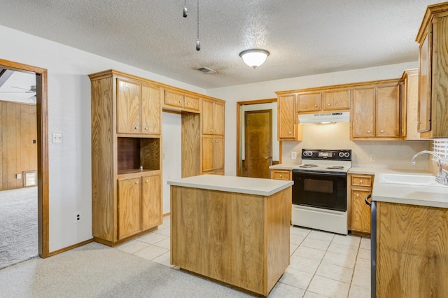 4437 76th St, Lubbock, TX 79424 - photo 23