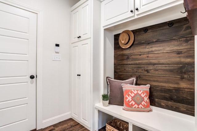 mudroom with dark wood-type flooring