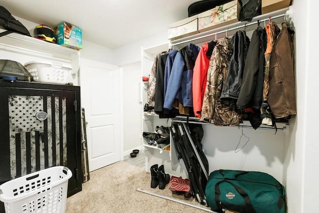 spacious closet featuring light carpet