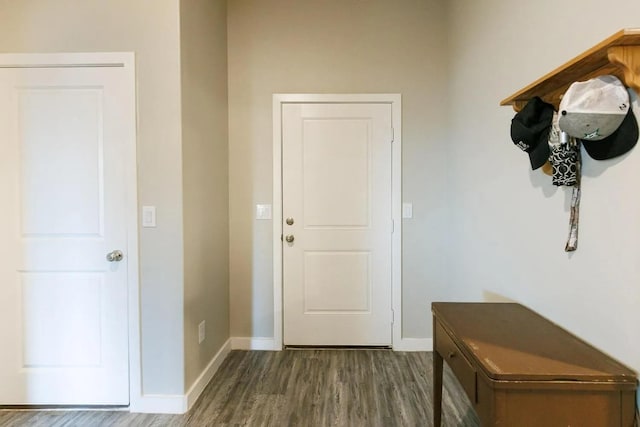 mudroom with dark wood-type flooring