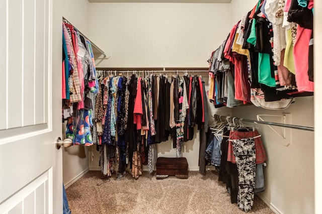 spacious closet featuring carpet