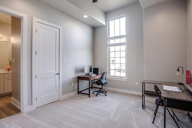 office featuring light colored carpet