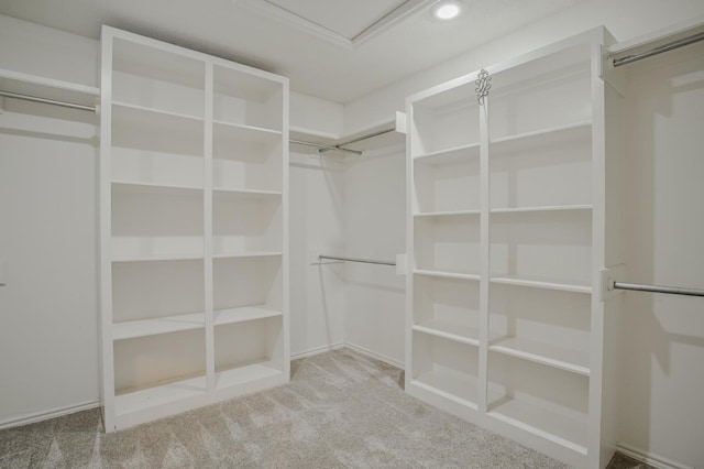 walk in closet with carpet flooring