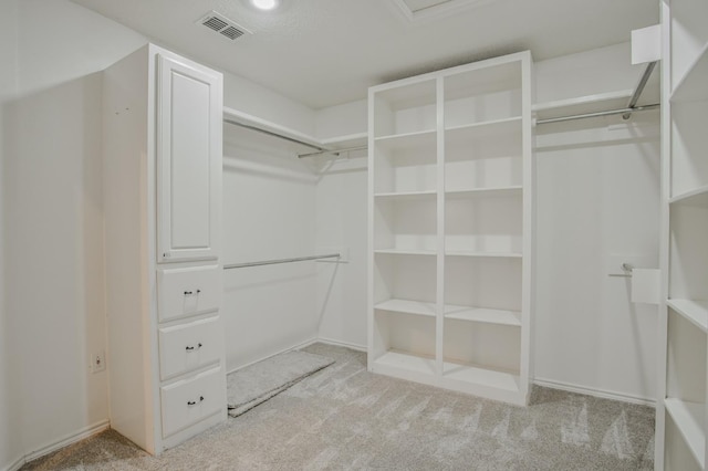 spacious closet featuring light colored carpet