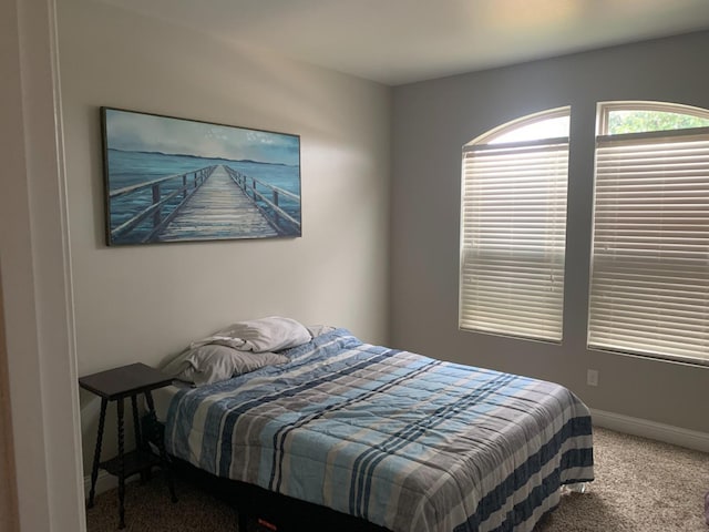 bedroom with carpet floors