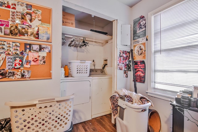 clothes washing area with dark hardwood / wood-style floors and washer and clothes dryer