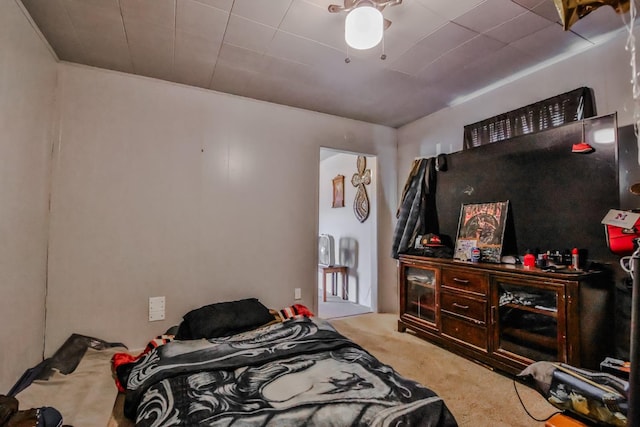 bedroom featuring carpet