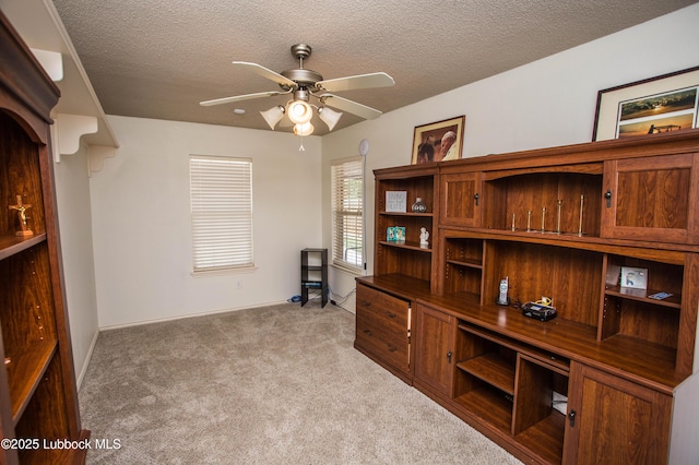 519 N Flint Ave, Lubbock, TX 79415 - photo 19