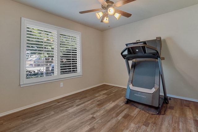 workout area with hardwood / wood-style floors and ceiling fan