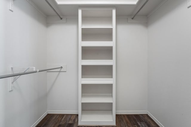 spacious closet featuring dark hardwood / wood-style flooring