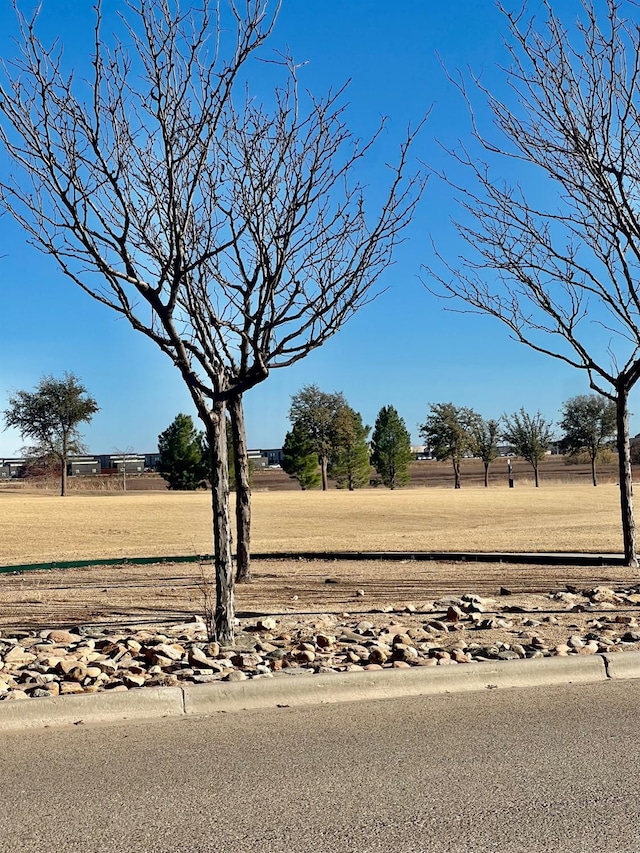 view of yard featuring a rural view