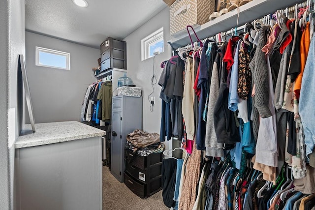 spacious closet with carpet flooring