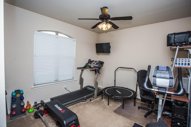 workout area with ceiling fan and carpet flooring