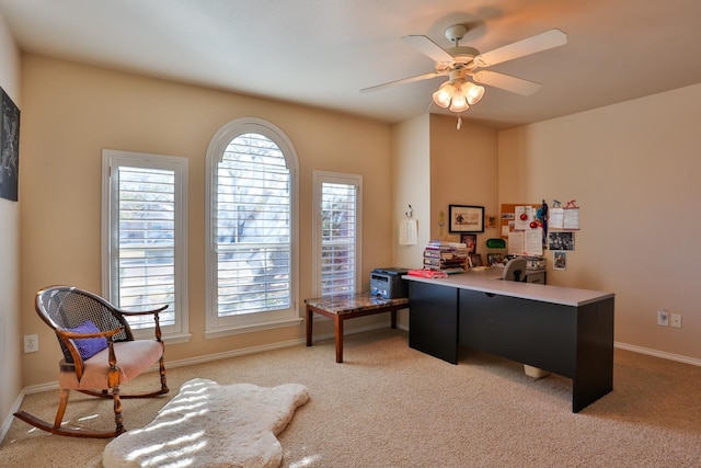 home office with a wealth of natural light, light colored carpet, and ceiling fan